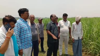 बस्ती: बजाज चीनी मिल रुधौली के महाप्रबंधक ने बहादुरपुर ब्लॉक के कई गांवों का किया निरीक्षण
