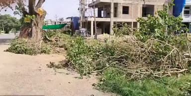 రామాయంపేట్: విద్యుత్ వైర్లు కింద మొక్కలు నాటడం ప్రజాధనాన్ని వృధా చేయడం