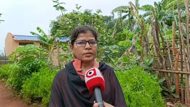 ମାଲକାନଗିରି: ସ୍କୁଲ ଛାତରୁ ଟିଣ ଉଡ଼ାଇନେଲା ପବନ: ବର୍ଷା ପୂର୍ବରୁ ସ୍ଥାୟୀ ସମାଧାନ ପାଇଁ ଦାବି ନେଇ ପ୍ରତିକ୍ରିୟା
