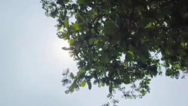 ଛତ୍ରପୁର: କାଳବୈଶାଖି ପ୍ରଭାବରେ ବିଜୁଳି ଘଡ଼ଘଡ଼ି ସହ ବଜ୍ରପାତ ସମ୍ଭାବନା, ଗଞ୍ଜାମ ଜିଲ୍ଲାକୁ ୟେଲୋ ଆଲର୍ଟ ଜାରି କଲା ପାଣିପାଗ ବିଭାଗ