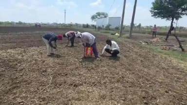 शाजापुर: शाजापुर में मानसून 15-20 दिन लेट,किसानों बोले-सोयाबीन की बोवनी और उत्पादन पर संकट, बढ़ी चिंता