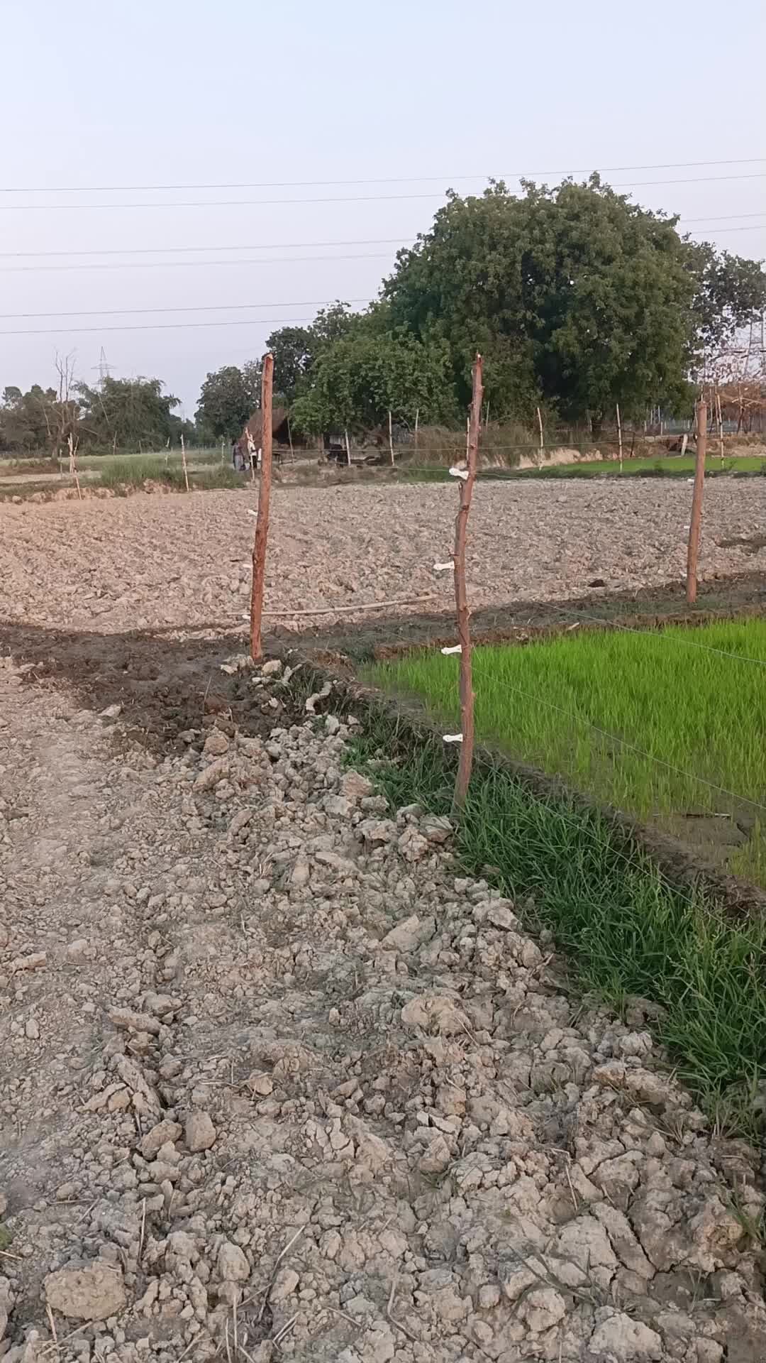 hamari jameen per gada bijali wala khamba paise mangne per adhikariyon Ne mangi ghus