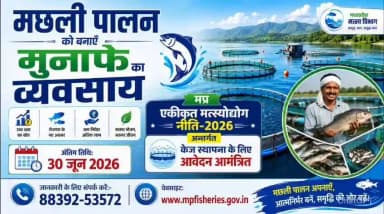 मछली पालन को बनाएँ मुनाफे का व्यवसाय।
--
➡️मप्र एकीकृत मत्स्योद्योग नीति-2026 अन्तर्गत केज स्थापना के लिए आवेदनआंमत्रित
--
➡️अंतिम तिथि: 30 जून 2026
--
📞जानकारी के लिए संपर्क करें:-88392-53572
--
🌐 वेबसाइट: https://t.co/jSfELE3J5N
#देवास #dewas
@JansamparkMP
@fisheries_mp https://t.co/2UViZvggqD