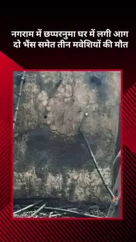 मोहनलालगंज: नगराम में छप्परनुमा घर में लगी आग, दो भैंस समेत तीन मवेशियों की हुई मौत