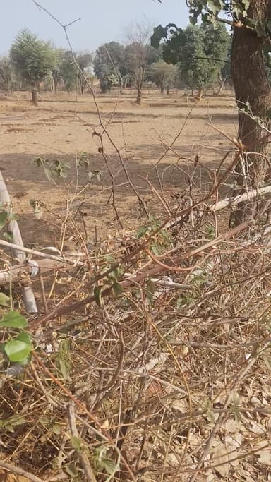 pilonuj sa anandkaran yadav