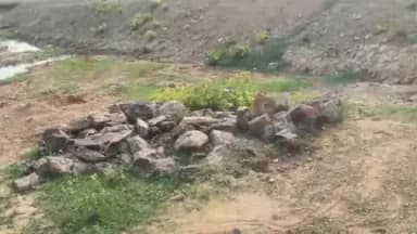 नीमडीह: बामनी गांव के तालाब किनारे महिला की खून से सनी शव मिलने से सनसनी, हत्या की आशंका