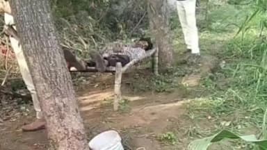 माण्डलगढ़: चमना की झोंपड़ियों गांव में खेत में मिला युवक का शव, हत्या की आशंका जताई जा रही है