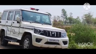 ଧର୍ମଗଡ: ଚିକିଲି ଗ୍ରାମ ଜନ ବସତିରେ ଦୁଇ ଜଙ୍ଗଲି ଭାଲୁ, ଘୋଉଡ଼େଇବା ପାଇଁ ନାକେଦମ ହେଲେ ବନ ବିଭାଗ କର୍ମଚାରୀ|