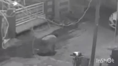 कैथल: कैथल में कुत्ते द्वारा कटने के बाद लोगों को काटने और भौंकने लगा 22 वर्षीय युवक; भय का माहौल