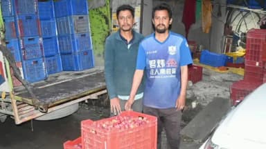 कुल्लू: कुल्लू के बागवानों की तकदीर बदल रही सरकारी योजनाएं, प्लम की खेती और सोलर सिंचाई से आई खुशहाली