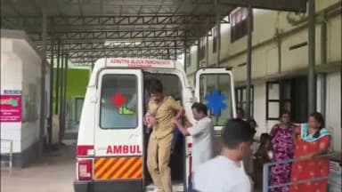 പീരുമേട്: വണ്ടിപ്പെരിയാർ വള്ളക്കടവിൽ കാട്ടുപോത്തിൻ്റെ ആക്രമണം, ബീറ്റ് ഫോറസ്റ്റ് ഓഫീസർക്ക് പരിക്ക്