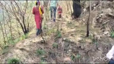 भिकियासैन: जंगल में भटकी गुमशुदा महिला को भतरौजखान पुलिस ने सकुशल खोजा, सर्च अभियान में मिली सफलता