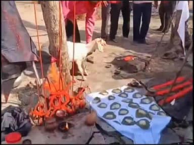 बलौदाबाज़ार: बलौदाबाजार के खरवे गांव में पसरा खौफ, शांति पूजा कराने वाले बैगा की जा चुकी जान, अब सिर्फ फॉरेंसिक जांच पर टिकी सबकी नजर