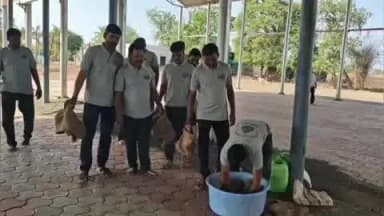 वाशिम: जिल्ह्यात सोयाबीन पेरणी पूर्वी बियाणांची उगवण क्षमता कृषी विभाग व पाणी फाऊंडेशन कडून चाचणी
