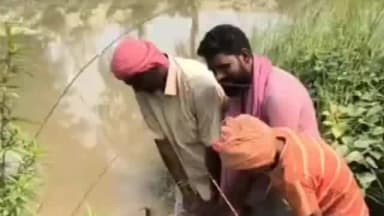 खड्डा: नहरों में पानी नहीं, फसलें सूखने लगीं; किसानों ने सिंचाई विभाग पर लापरवाही के आरोप लगाए