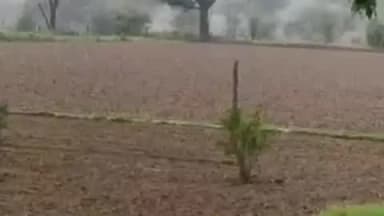सीकर: रानोली पलसाना इलाके में हुई जोरदार बरसात, किसानों ने शुरू की खरीफ की बुवाई