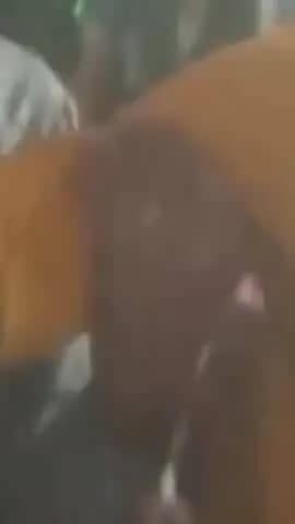 बड़ागांव धसान: बड़ागांव: शादी समारोह में डांसर से मारपीट, वीडियो वायरल: पैसे लूटाने पर विवाद; पीड़ित ने 65 हजार छीनने का लगाया आरोप