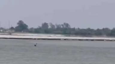 फर्रुखाबाद: भांजी को बचाने में मामा गंगा में डूबा, 2 घंटे से गोताखोर कर रहे हैं तलाश, पांचाल घाट गंगा तट का मामला