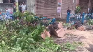 কলকাতা: ঘণ্টাখানেকের ঝড়-বৃষ্টিতেই বিপর্যস্ত কলকাতা, চাঁদনি চকে উপড়ে পড়ল বিশাল গাছ, সাময়িকভাবে বন্ধ যান চলাচল