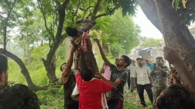 गोमिया: गोमिया में नशे में धुत युवक पेड़ पर चढ़कर सोया, पुलिस ने घंटों मशक्कत कर उतारा