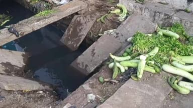 अंबाह: सब्जी मंडी में मौत बनकर दौड़ा ट्रैक्टर, मां-बेटे गंभीर रूप से घायल, जिला अस्पताल रेफर