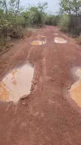 my vijay adiwasi gram tikariya jila Panna Madhya gram panchayat padvar tahsil pawai sadak jaldi banbaya jaya 20 sal ishi