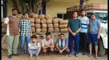 పాడేరు: అల్లూరి సీతారామరాజు జిల్లాలో రూ.5.6 కోట్ల రూపాయలు విలువైన గంజాయిని స్వాధీనం చేసుకున్న ఎన్సీబీ అధికారులు