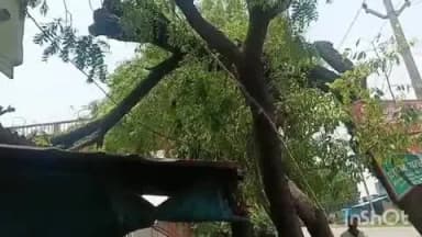 भीटी: बेवाना थाना क्षेत्र के हसनपुर जलालपुर में तेज आंधी-बारिश से जलपान की दुकान हुई छतिग्रस्त, मुआवजे की मांग