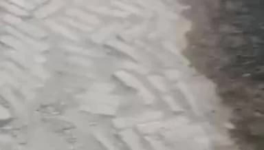 शाहाबाद: थाना शहजाद नगर क्षेत्र में धान की पौध को लेकर 3 दिन से लगातार हो रही मारपीट, आज भी दो पक्षों में हुई झड़प