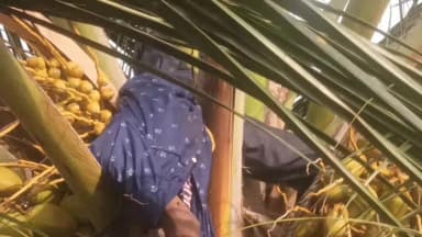 ஓசூர்: காலேகுண்டாவில் தென்னை மரத்தில் ஏறி இளநீர் இறக்கியவர் மரத்திலேயே உயிரிழந்த அதிர்ச்சி