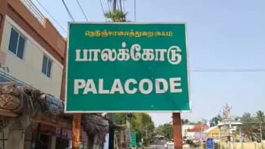 பாலக்கோடு: பாலக்கோட்டில் முதலமைச்சர் ஜோசப் விஜய் 52 வது பிறந்தநாள் விழா கொண்டாட்டம்
