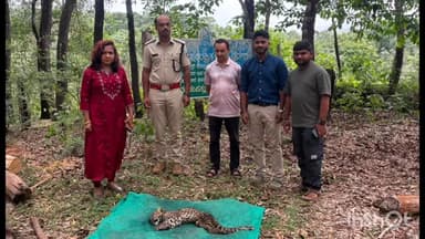 ಸಾಗರ: ಮುಪ್ಪಾಣಿ ಬಳಿ ಗಾಯಗೊಂಡಿದ್ದ ಚಿರತೆ ಮರಿ ಚಿಕಿತ್ಸೆ ಫಲಕಾರಯಾಗದೆ ಸಾವು