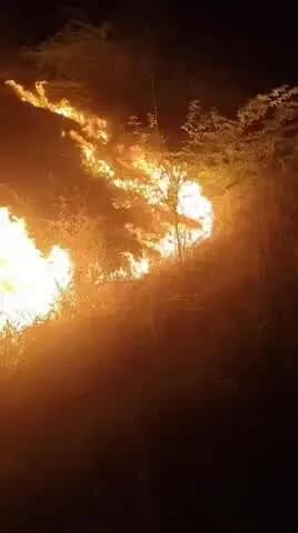 माधौगढ़: रामपुरा नगर के पास अज्ञात कारणों से खेतों में लगी आग, मचा हड़कंप