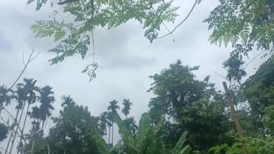 আমবাসা: ধলাই জেলার আকাশ পরিষ্কার বৃষ্টিপাতের সম্ভাবনা নেই