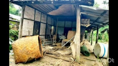 পলাশবাৰী: দক্ষিণ কামৰূপৰ বৰপতিমাত বনৰীয়া হাতীৰ তাণ্ডৱ
