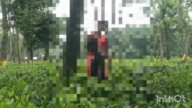 বিশ্বনাথ: নসাকোমঠা চাহ বাগিচাত কৰুণ ঘটনা, একেডাল পঘাতে চিপ লৈ ন-দম্পতীৰ আত্মহনন