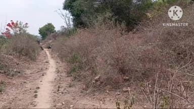 ஆம்பூர்: மாதகடுப்பு பகுதியில் அண்ணன் சைக்கிளை சரிசெய்து தராததால் தம்பி பூச்சி மருந்து குடித்து தற்கொலை