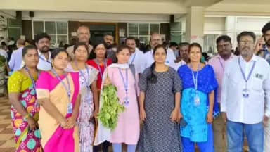 திருப்பூர் தெற்கு: கோனோகார்பஸ் மரங்களை நெடுஞ்சாலையில் இருந்து அப்புறப்படுத்த கோரி தன்னார்வ அமைப்பினர் கலெக்டர் அலுவலகத்தில் மனு