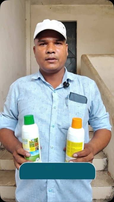 नैनो उर्वरकों से किसानों को मिल रहे बेहतर परिणाम
सक्ती जिले के किसान श्री भुवन चंद्र एवं श्री जितेंद्र कुमार कोसले ने बताया कि नैनो उर्वरकों के उपयोग से फसलों की गुणवत्ता में सुधार हुआ है।
#NanoUrea #NanoDAP