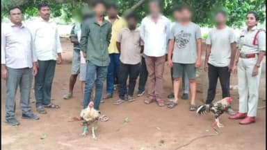 మచిలీపట్నం దక్షిణం: గన్నవరం: కోడిపందాల స్థావరంపై దాడి