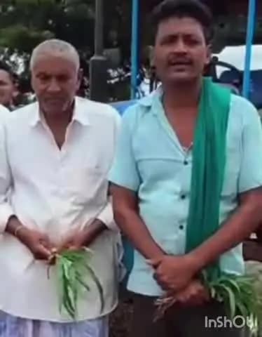 ಬ್ಯಾಡಗಿ: ಶಿಡೆನೂರ್ ಗ್ರಾಮದಲ್ಲಿ ಗೋವಿನ ಜೋಳದ ಬೇಳೆ ನಾಶ ಪಡಿಸಿದ ರೈತ