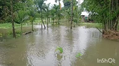 ধেমাজি: ধাৰাসাৰ বৰষুণত গোগামুখ অঞ্চলৰ একাধিক গাঁও বানত প্লাৱিত