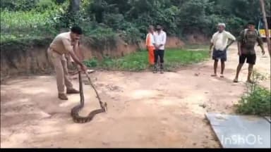 ಮುಂಡಗೋಡ: ಕಾತುರ ದ ಜಂಬೆ ಕೊಪ್ಪದಲ್ಲಿ ಬೃಹತ್ ಹೆಬ್ಬಾವು ರಕ್ಷಣೆ