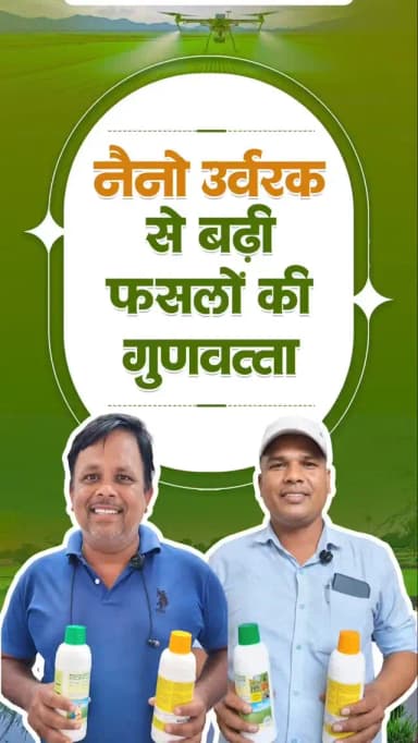 नैनो उर्वरकों से किसानों को मिल रहे बेहतर परिणाम
सक्ती जिले के किसान श्री भुवन चंद्र एवं श्री जितेंद्र कुमार कोसले ने बताया कि नैनो उर्वरकों के उपयोग से फसलों की गुणवत्ता में सुधार हुआ है।
#nanourea #nanodap #mmacdistrict_cg #agriculture #chhattishgarh