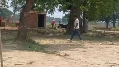 रायबरेली जिले के डीह ब्लॉक अंतर्गत पूरे सधई मिश्र में रोमांचक क्रिकेट मुकाबला, फौजी इलेवन ने साहिबगंज करहिया को हराया।
