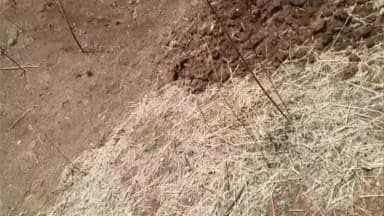 नारायणगंज: बबलिया में खेत तालाब और शेड निर्माण में भ्रष्टाचार
जनपद अध्यक्ष आसाराम भारतीया ने खोला मोर्चा, जांच की मांग