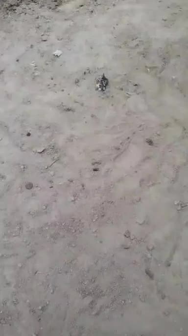 jila bagpat gaon kuntawadi me Bahar ke aadami bulakar badmashi karte hue