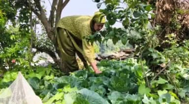 पोखरी: पोखरी विकासखंड में रडुवा की बैजंती देवी बनीं आत्मनिर्भरता की मिसाल
