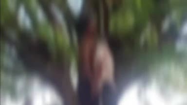 अन्तागढ़: ताड़ोकी क्षेत्र में दर्दनाक घटना, युवक-युवती ने एक ही दुपट्टे से फांसी लगाकर दी जान