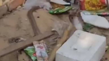 मुगलसराय: मुगलसराय में कोबरा सांप पकड़ने का वीडियो सोशल मीडिया पर हुआ वायरल